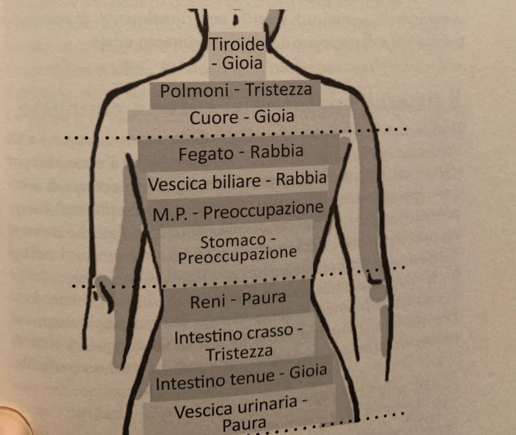 Bioginnastica per il riequilibrio posturale bioenergetico di Stefania Tronconi