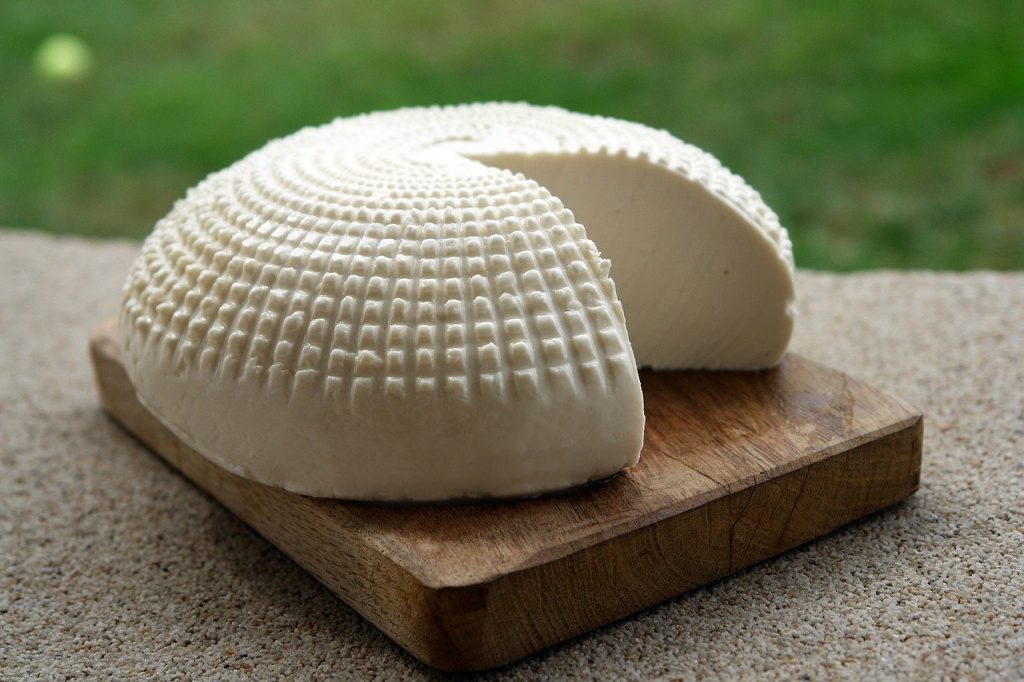 forfresh: formaggio fresco probiotico in imballaggio ecosostenibile